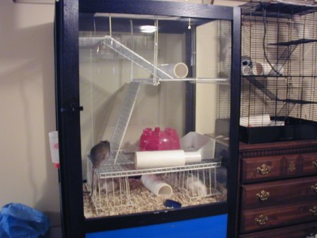 Claw Machine Rat Cage Pic #7
